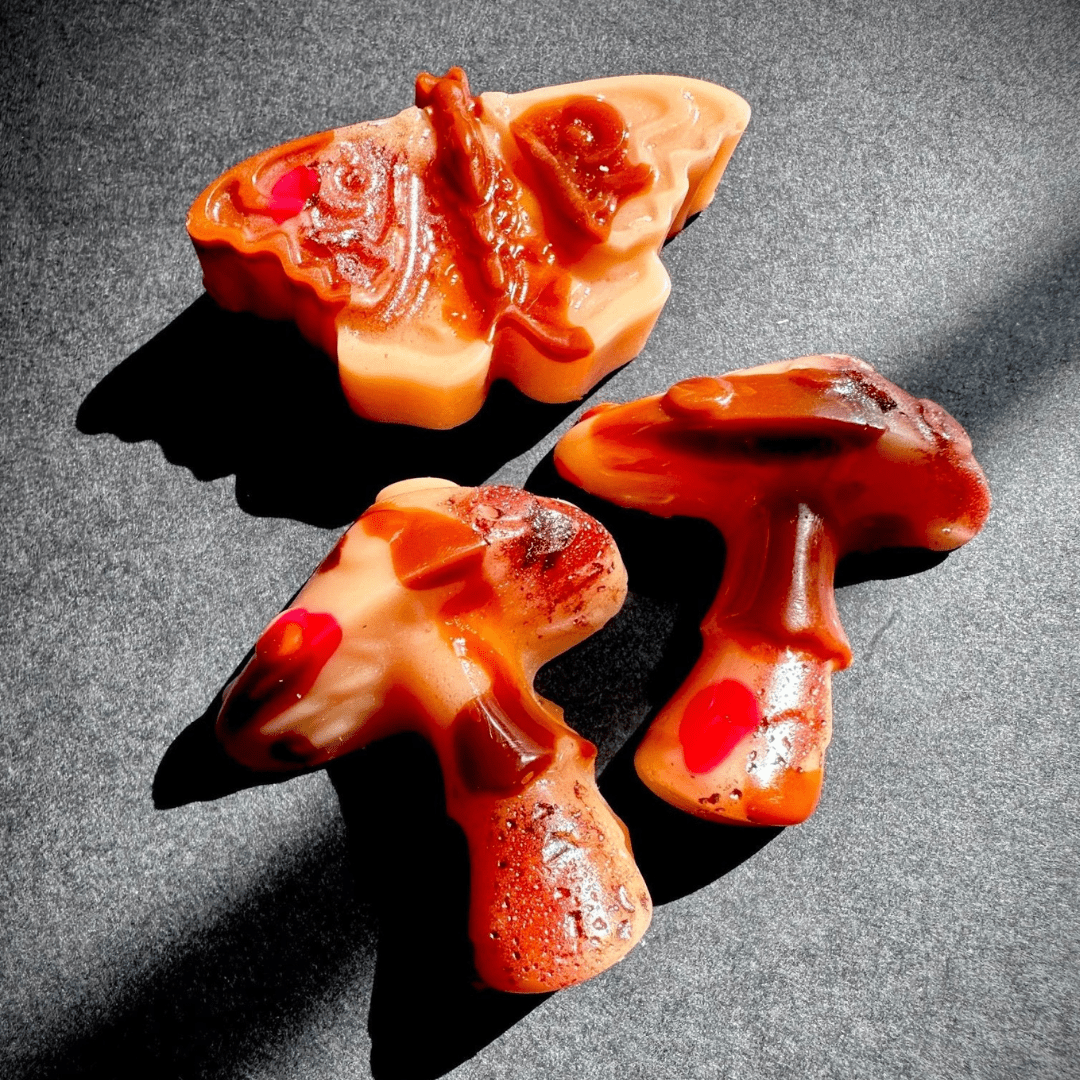 Wax Melts That Care: Sustainable Scents for Your Home - The Smell of Fear